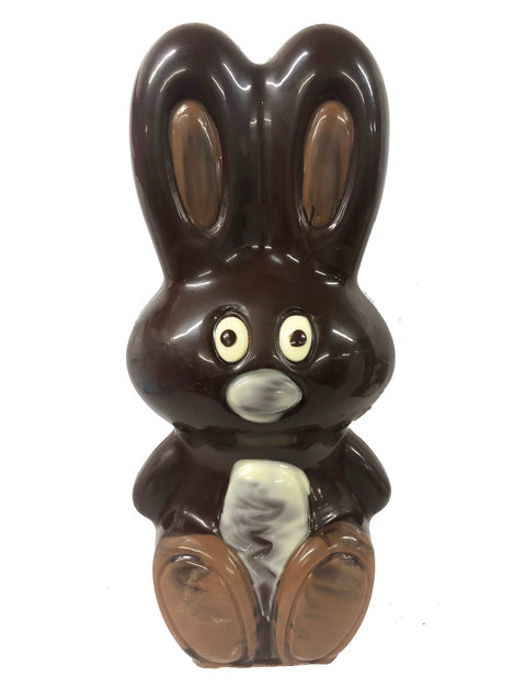 Bunny groot ingekleurd puur