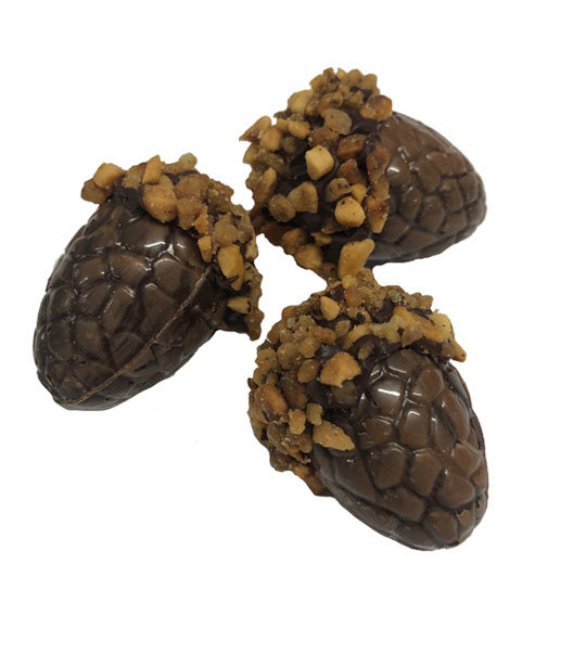 Eikels met krokante praline puur