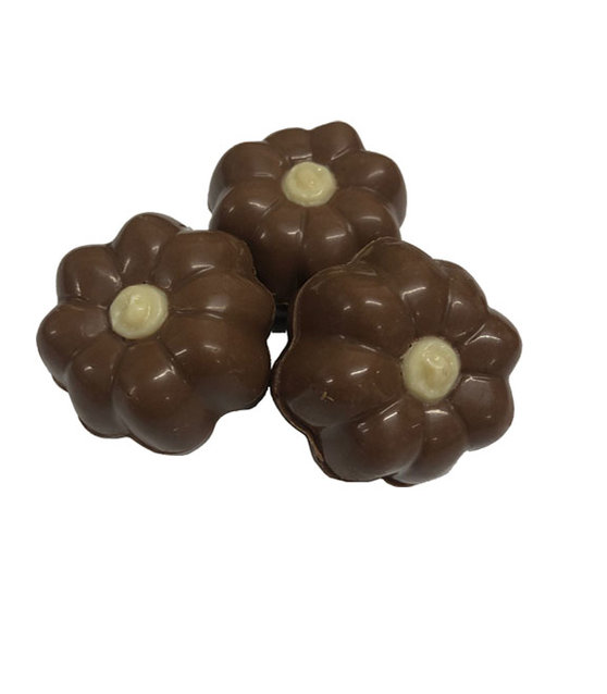 Pompoentjes met pompoenganache melk