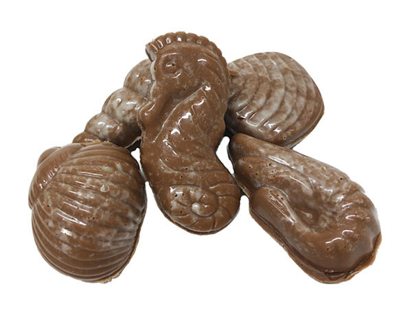 Zeevruchten Melk Chocolade